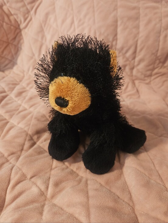 webkinz Other - Webkinz Black Bear Plush No Code